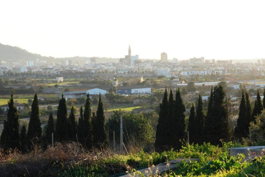 Finca Can Peixet Manacor  Exterior photo