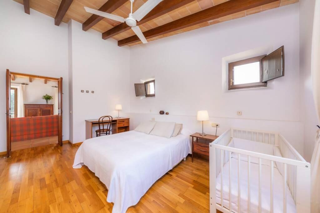 Finca Can Peixet Manacor  Exterior photo